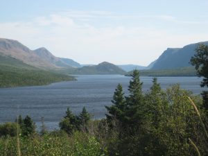 Paysage de fjords